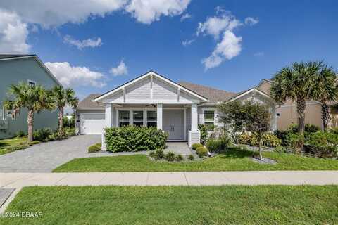 45 Marden Drive, Ormond-by-the-Sea, FL 32176