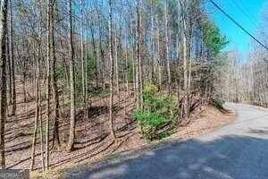 LOT 694 Satsuma CT, Ellijay, GA 30540