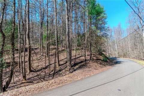 LT 694 Satsuma Court, Ellijay, GA 30540