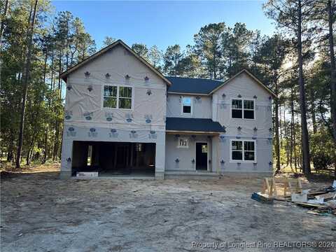 15980 Old Orchard Court, Wagram, NC 28396