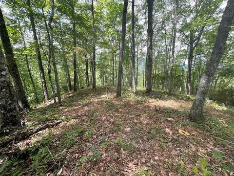 Crossvine Drive, Tuckasegee, NC 28783