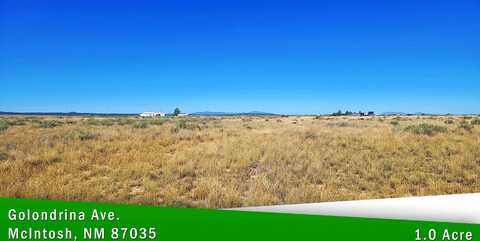 GOLONDRINA Avenue, McIntosh, NM 87035