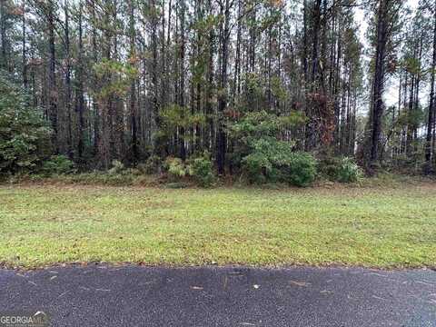 V/L 129 La Mare, Waverly, GA 31565