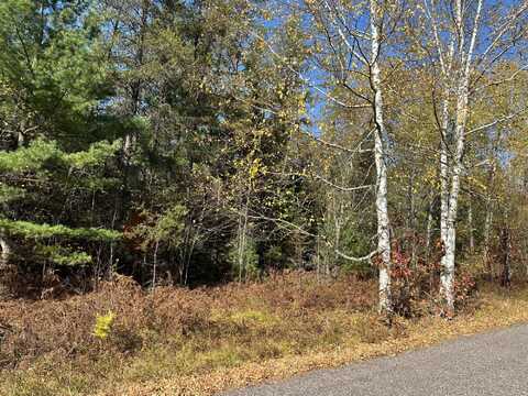 Lot 7 BLACK OAK LAKE RD S, Land O Lakes, WI 54540