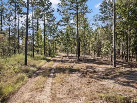 TBD County Road 4518, Pittsburg, TX 75686