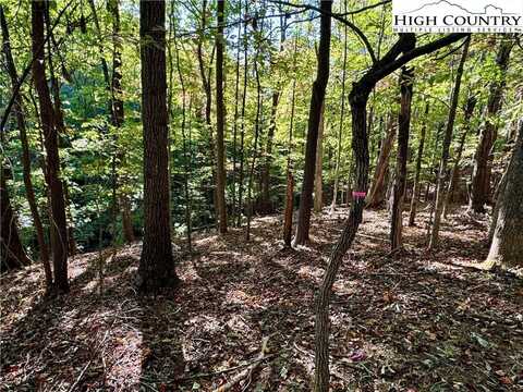 Tbd Penny Lane, Deep Gap, NC 28618