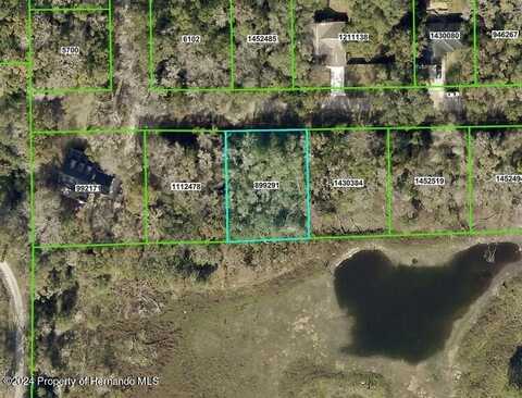 0 Fitzhugh Avenue, Brooksville, FL 34601