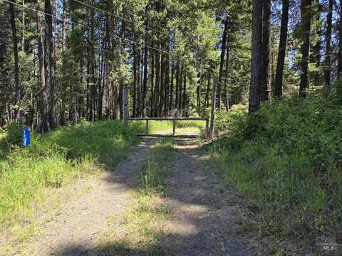 1200 White Pine Flats Rd, Troy, ID 83871