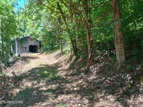 2604 Fourmile, Tazewell, TN 37879