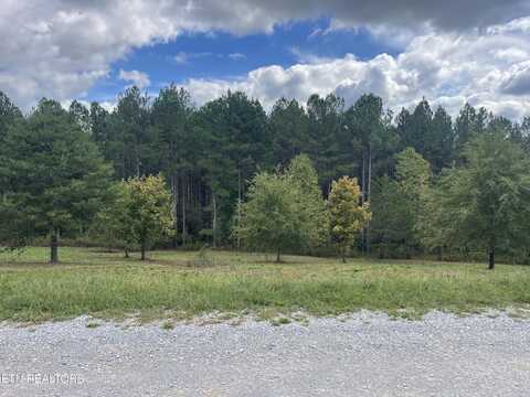 155 Hiwassee Trails Dr Drive, Delano, TN 37325