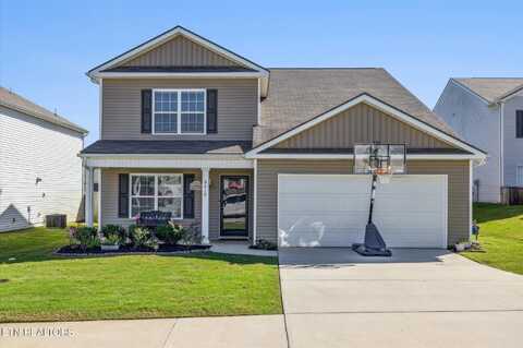 9412 Trout Lily Lane, Mascot, TN 37806