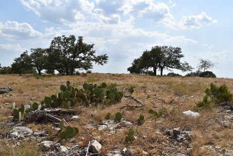 Cattlemans Crossing Dr, Kerrville, TX 78028