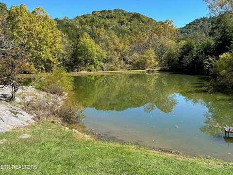 742 Black Sheep Hollow Road, Sneedville, TN 37869