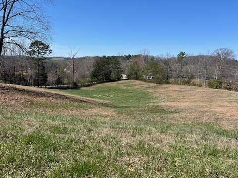 Lot 167 Woodstock Drive, Rutledge, TN 37861