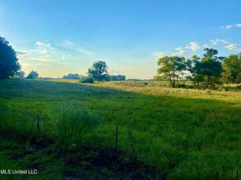 Nhn Pump Branch Road, Wiggins, MS 39577