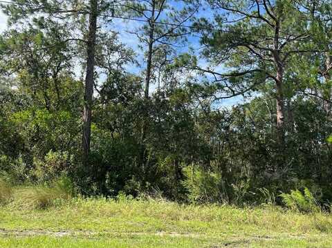 0 MADONNA DRIVE, WEBSTER, FL 33597