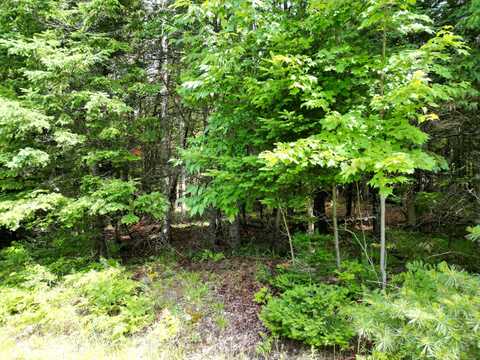 Lot 20 Lee Road, Lee, ME 04455