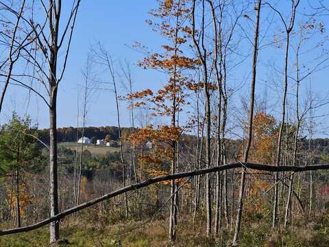 R11-033-2 Bailey Hill Road, Farmington, ME 04938