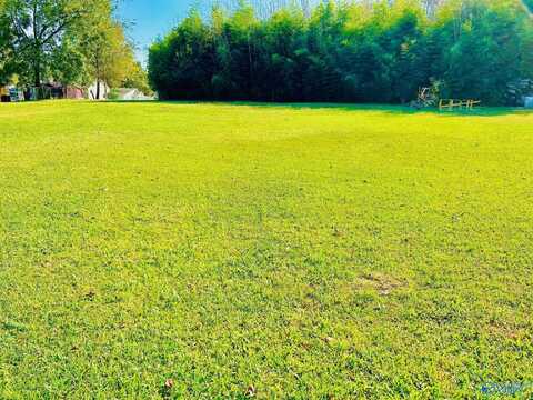 1 Acre Marie Street, Cullman, AL 35055