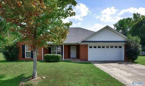 107 Sand Pine Court, Toney, AL 35773