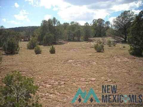 16.46+/-ac Near Sheridan, Sheridan, NM 87701