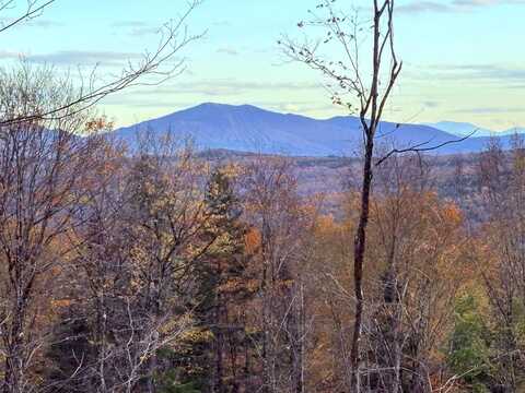 1180 Abbott Hill Road, Newark, VT 05871