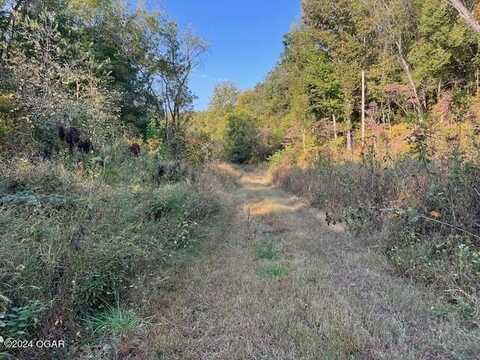 Tbd Ibex Road, Goodman, MO 64843