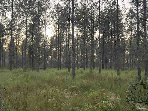 Lot 5 Wallace Lake Rd, Pace, FL 32571