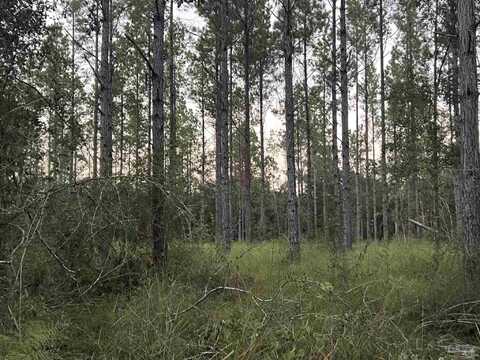 Lot 1 Wallace Lake Rd, Pace, FL 32571