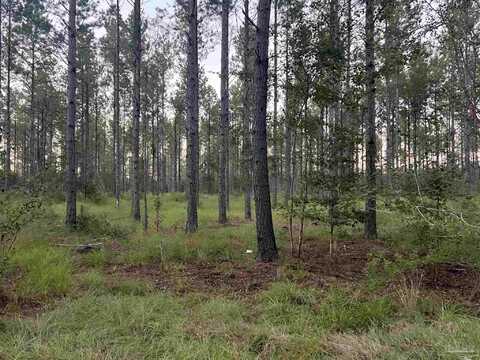 Lot 2 Wallace Lake Rd, Pace, FL 32571