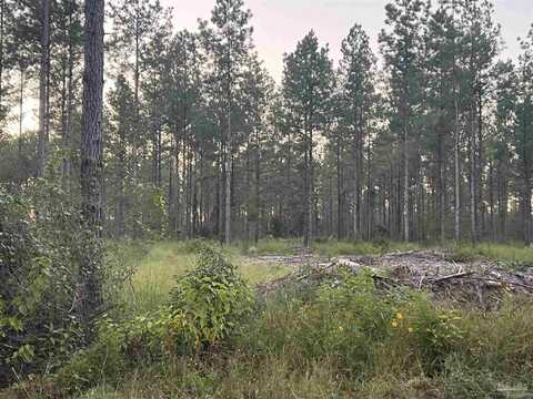 Lot 4 Wallace Lake Rd, Pace, FL 32571