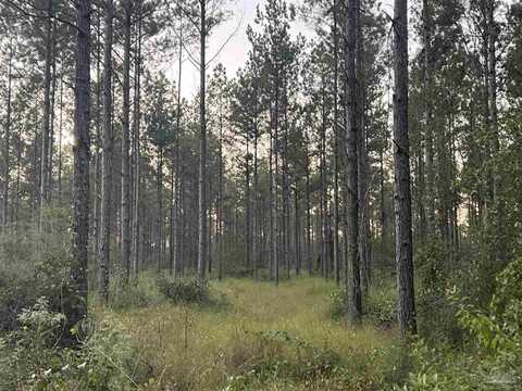 Lot 3 Wallace Lake Rd, Pace, FL 32571