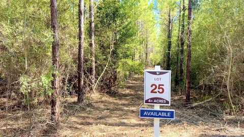 Lot 25 Hwy 89, Jay, FL 32565