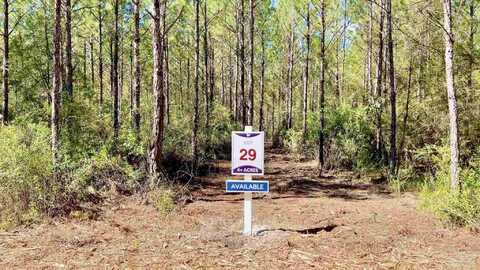 Lot 29 Hwy 89, Jay, FL 32565