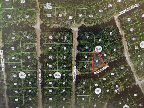 431 E Marlow Place, Dunnellon, FL 34434