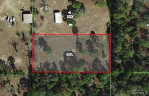 1458 N Popcorn Point, Inverness, FL 34453