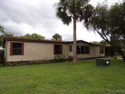 46 Wilderness Drive, Lake Panasoffkee, FL 33538