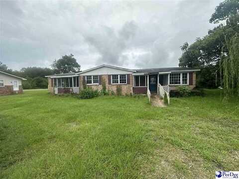 421 Pineville Rd, Darlington, SC 29532