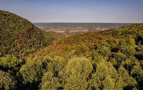 Lots 8a/8b Dunlukin Drive, Spring City, TN 37381