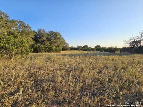 4463 FOREST TRAIL DR, Bandera, TX 78003