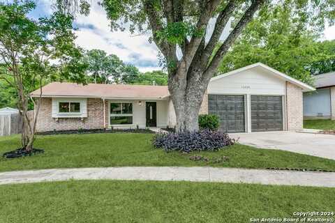 12439 MCDERMONTS FARM ST, San Antonio, TX 78233