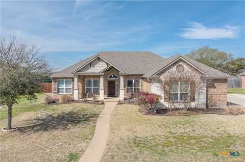 308 Cypress Springs Drive, Belton, TX 76513