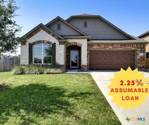 8092 Gato Lane, Round Rock, TX 78665