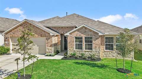 565 Apache Plum Drive, Kyle, TX 78640