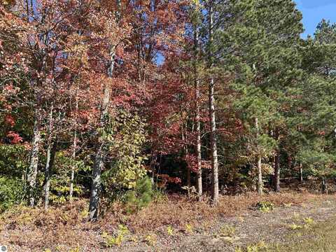 0 M-115, Thompsonville, MI 49683