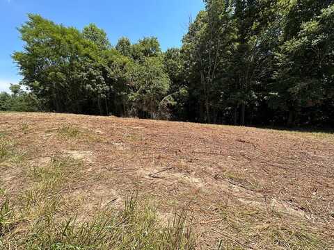 4.12ac Twin Peaks Ln, MONROE, TN 38573