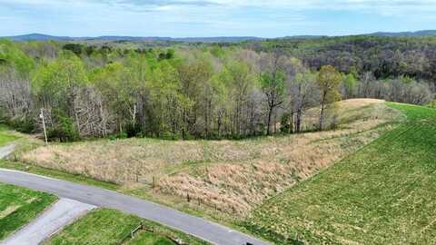 Allen Bend Rd Lot 16, SMITHVILLE, TN 37166