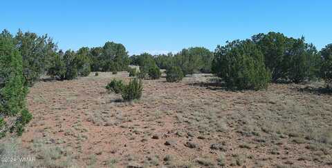 96 CR 8068 Drive, Concho, AZ 85924