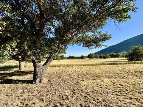 5755 E HOOT OWL HOLLOW --, Hereford, AZ 85615