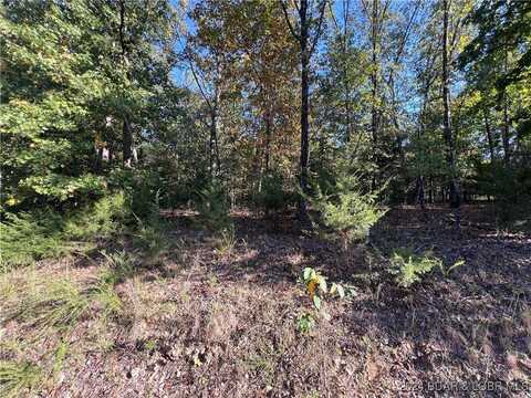 Lot 1229 Spring Creek Drive, Sunrise Beach, MO 65079